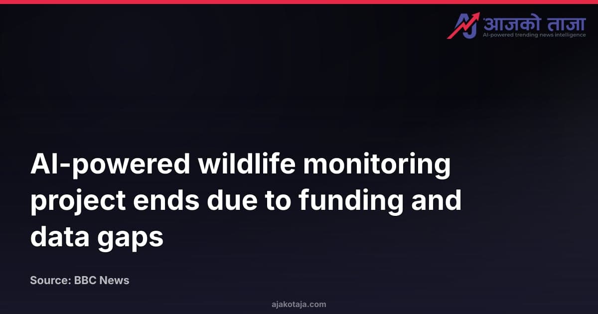 AI-powered wildlife monitoring project ends due to funding and data gaps