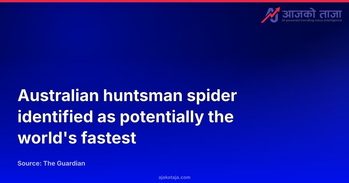 Australian huntsman spider identified as potentially the world's fastest