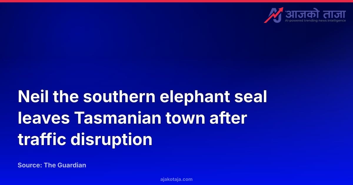 Neil the southern elephant seal leaves Tasmanian town after traffic disruption