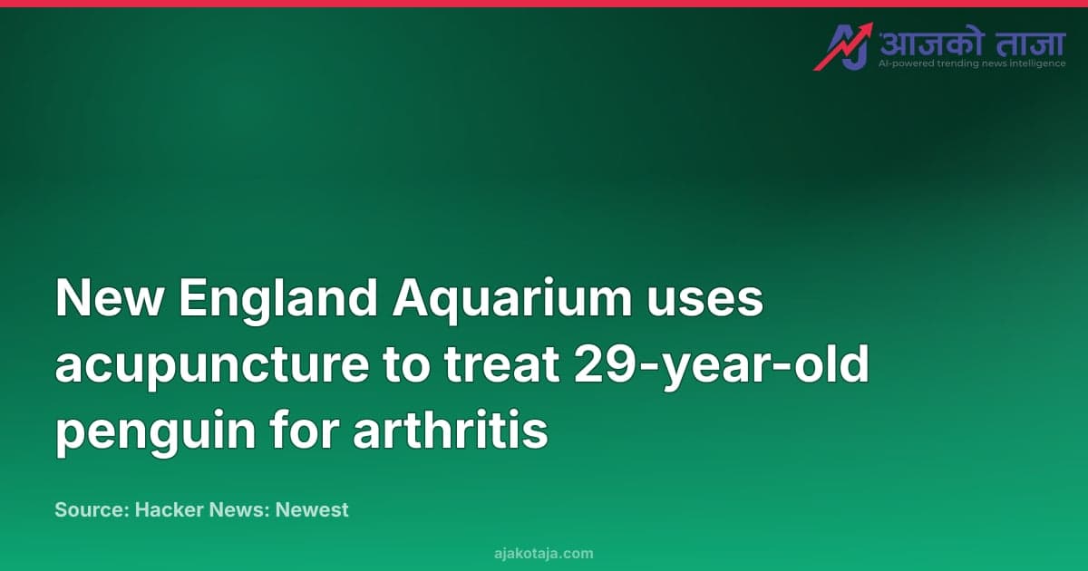 New England Aquarium uses acupuncture to treat 29-year-old penguin for arthritis