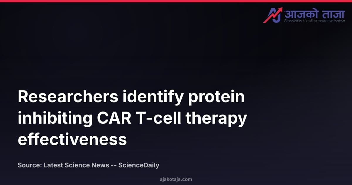Researchers identify protein inhibiting CAR T-cell therapy effectiveness