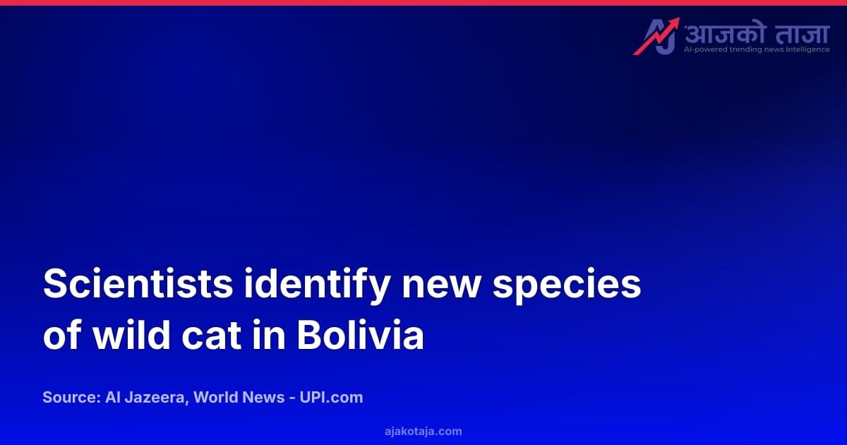Scientists identify new species of wild cat in Bolivia
