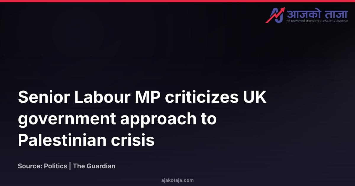 Senior Labour MP criticizes UK government approach to Palestinian crisis