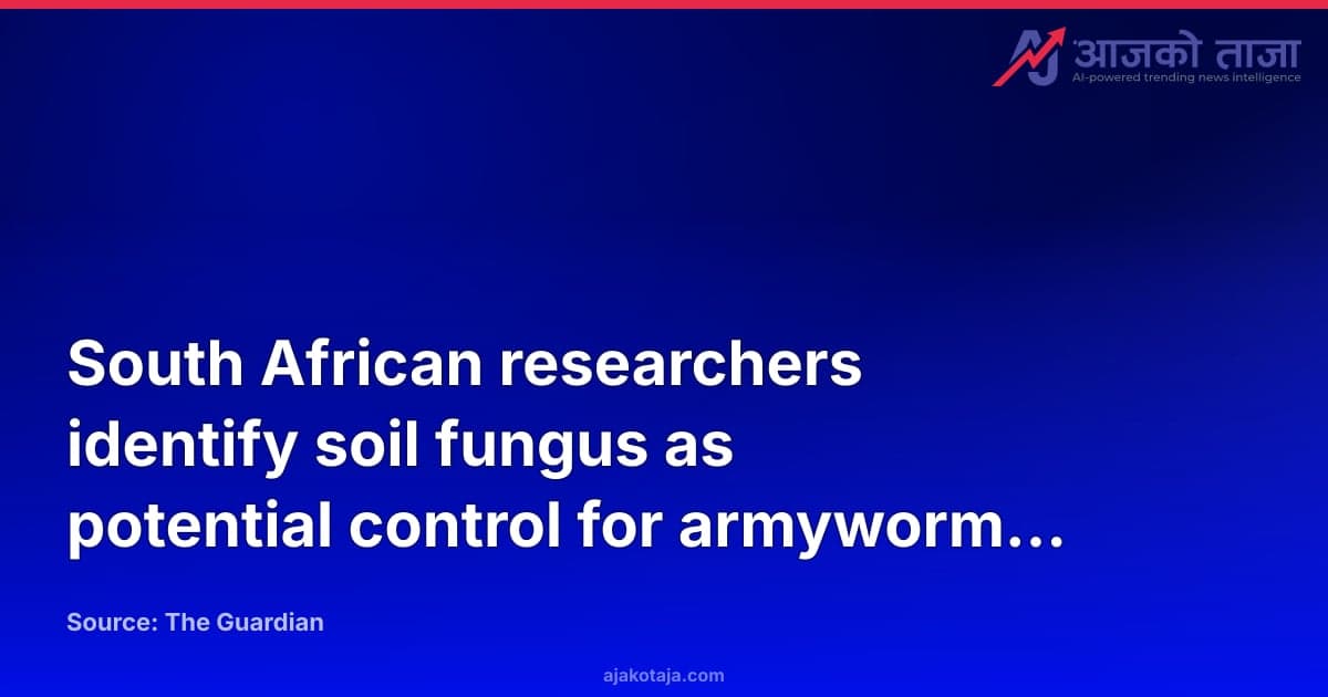 South African researchers identify soil fungus as potential control for armyworm pest