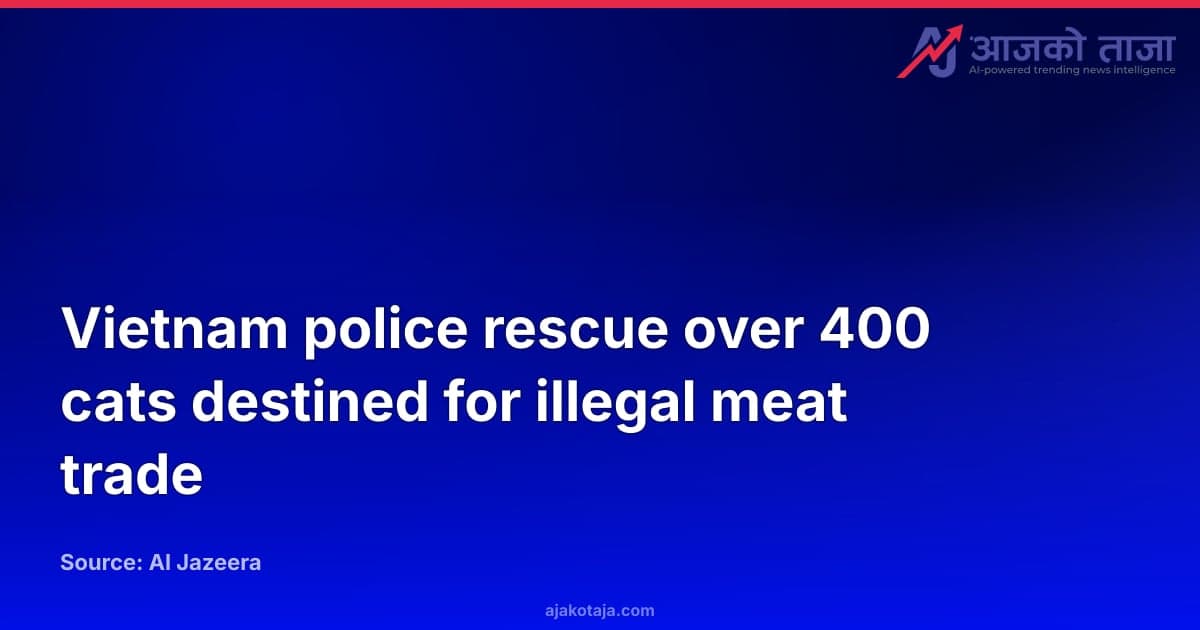 Vietnam police rescue over 400 cats destined for illegal meat trade
