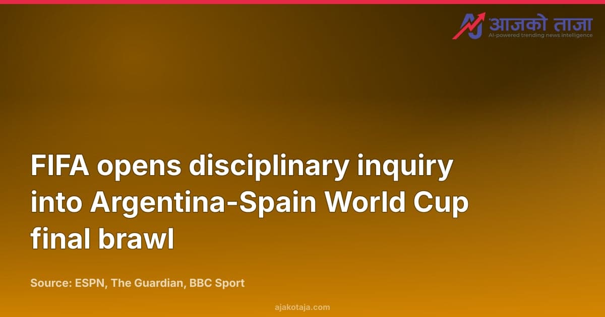 FIFA opens disciplinary inquiry into Argentina-Spain World Cup final brawl