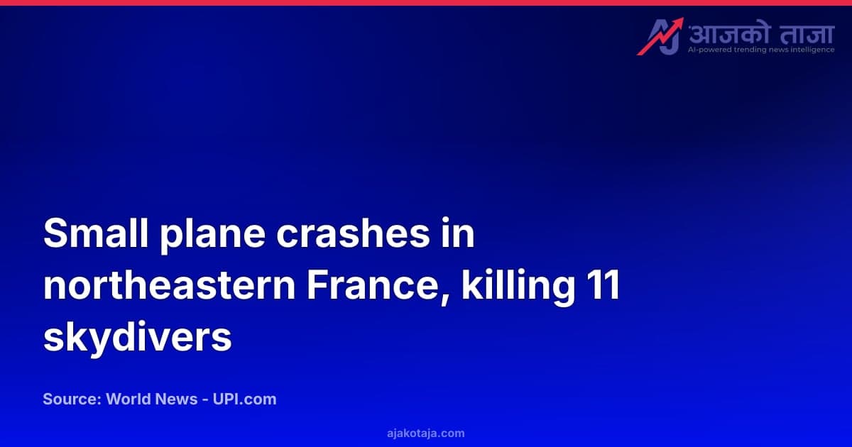 Small plane crashes in northeastern France, killing 11 skydivers